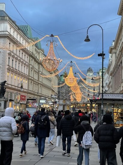 Odborná exkurzia vo Viedni