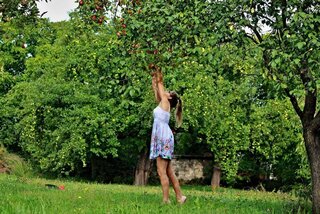 autorka fotografie Paulina Bakytova