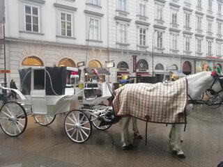 Odborná exkurzia vo viedni - 04