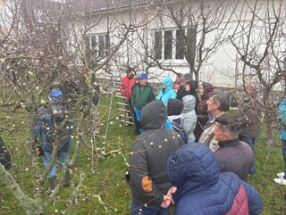 Jarný rez ovocných stromov - 02