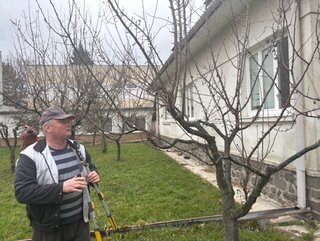 Jarný rez ovocných stromov - 04