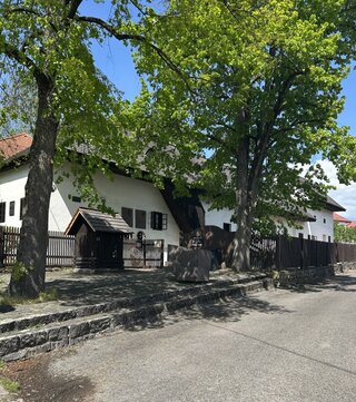 Štúrov uhrovec 2025 - 04
