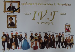 IV.F