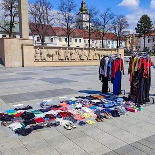 IMG-6867