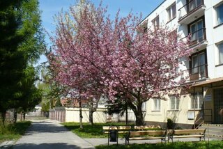 Exteriér
