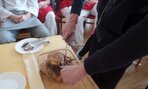 Laboratórne cvičenie 01