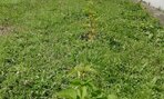 08-oddychova zona vo vonkajsom areali skoly so sadom cernic 3
