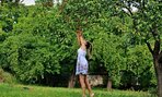 autorka fotografie Paulina Bakytova