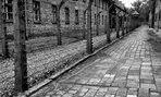 Exkurzia osvienčim, krakow - 02