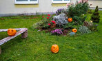 Halloweenske vyrezávanie tekvíc - 20