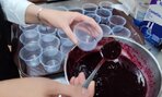 Týždeň dánskej kuchyne - zero waste – nulový odpad - 16