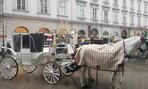 Odborná exkurzia vo viedni - 04