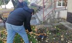Projekt krókus - 06