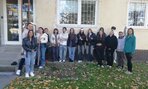Projekt krókus - 08