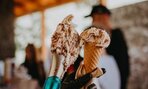 Gastrodni 2022 - Gelateria03