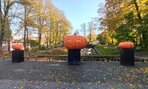 Erasmus+ švédsko 2023 - jobshadowing - 09