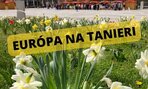 Sppravme to - IMG-6843