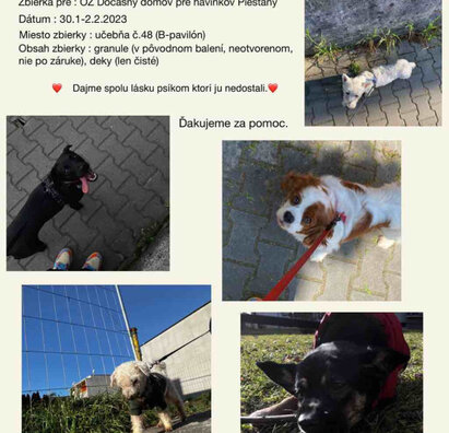Z lásky k zvieratkám