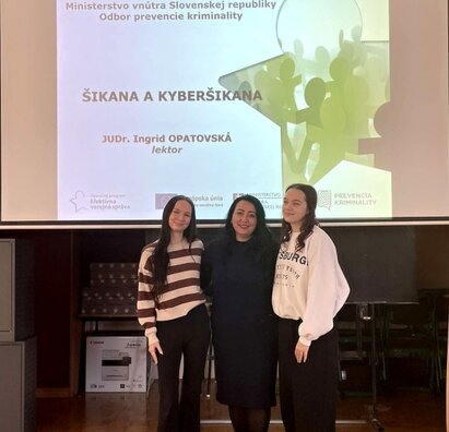 Šikana a kyberšikana
