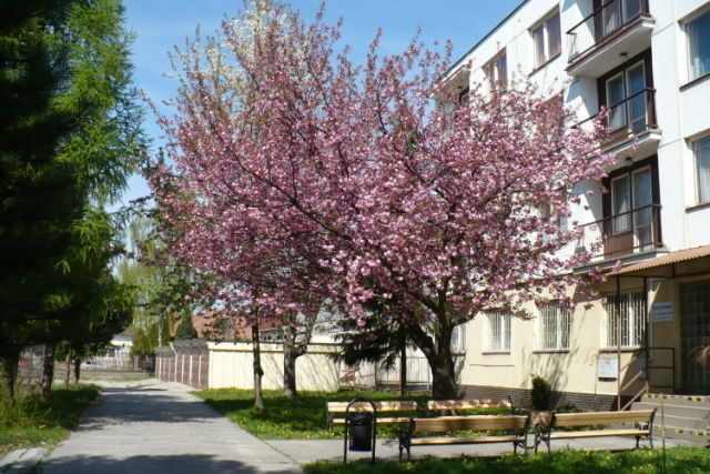 Ubytovanie